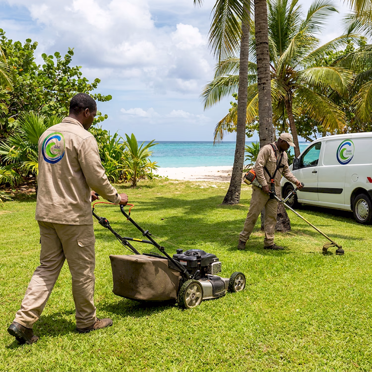 airbnb concergerie guadeloupe