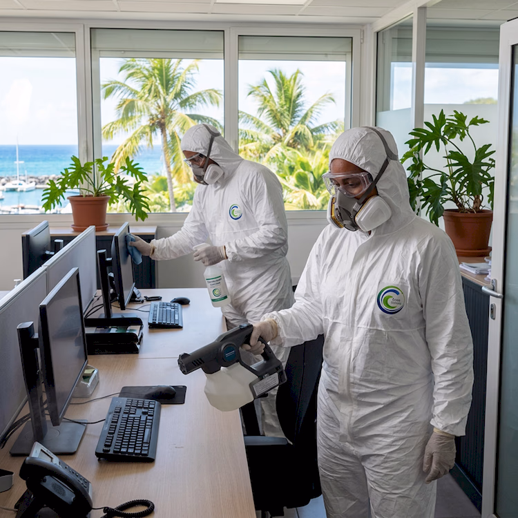 desinfection et protection antivirus en guadeloupe desinfection et protection antivirus en guadeloupe
